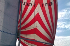 Spinneaker